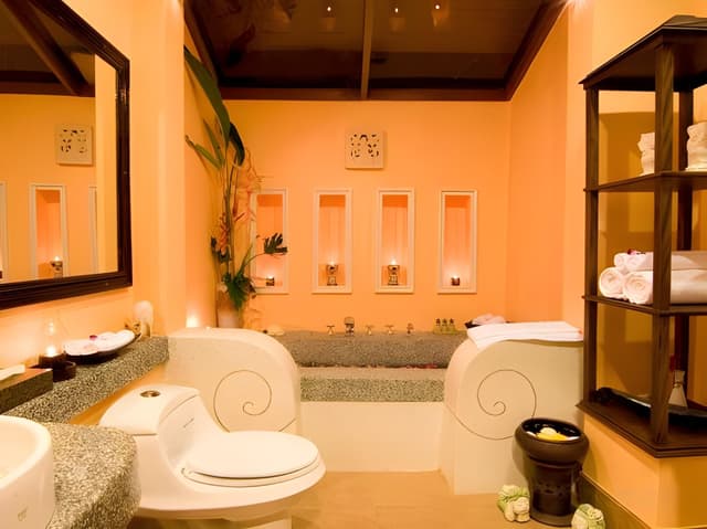 Plunge Pool Villa Tropical