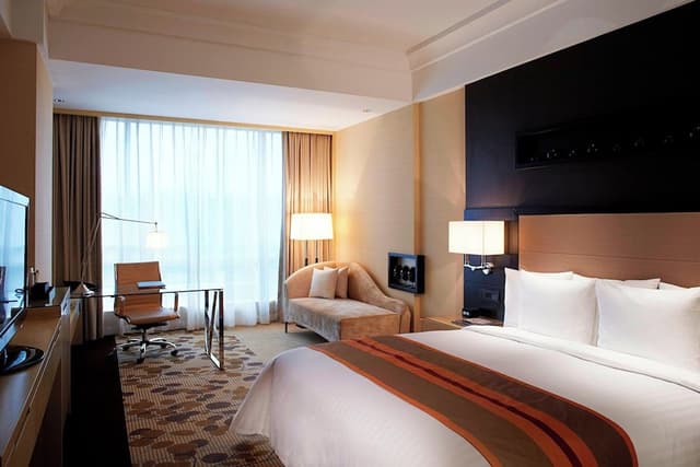 Room, 1 King Bed