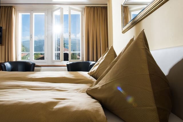 Economy Double Room with Jungfrau View