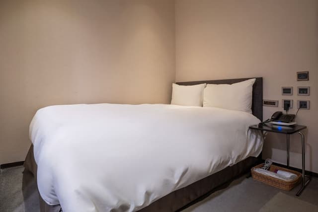 Standard Double Room, No Windows