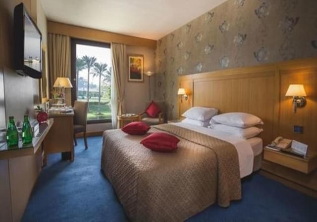 Executive Room with Lounge Access (queen or twin)