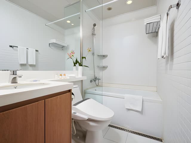 Deluxe Two-Bedroom Apartment