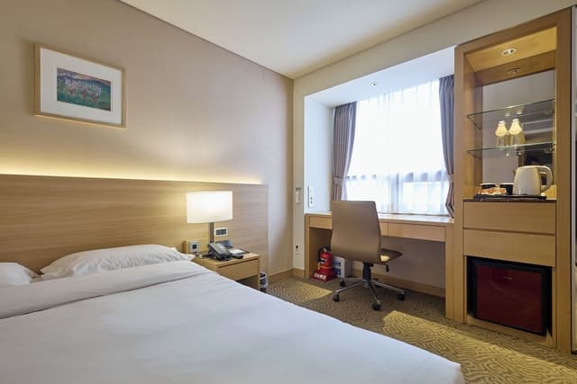 Standard Double Room, Bathtub