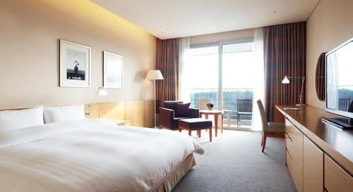 Deluxe King Room