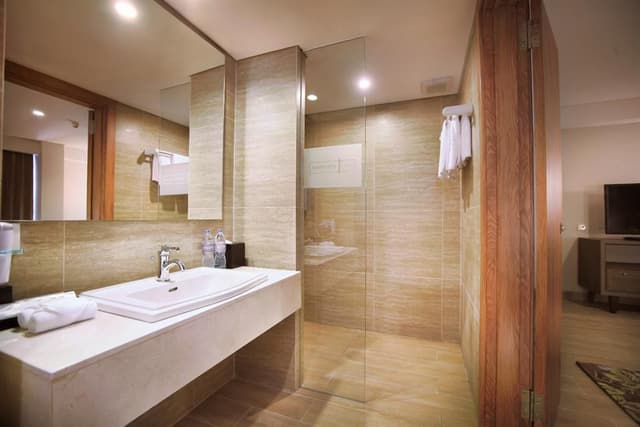 Deluxe Premier Room