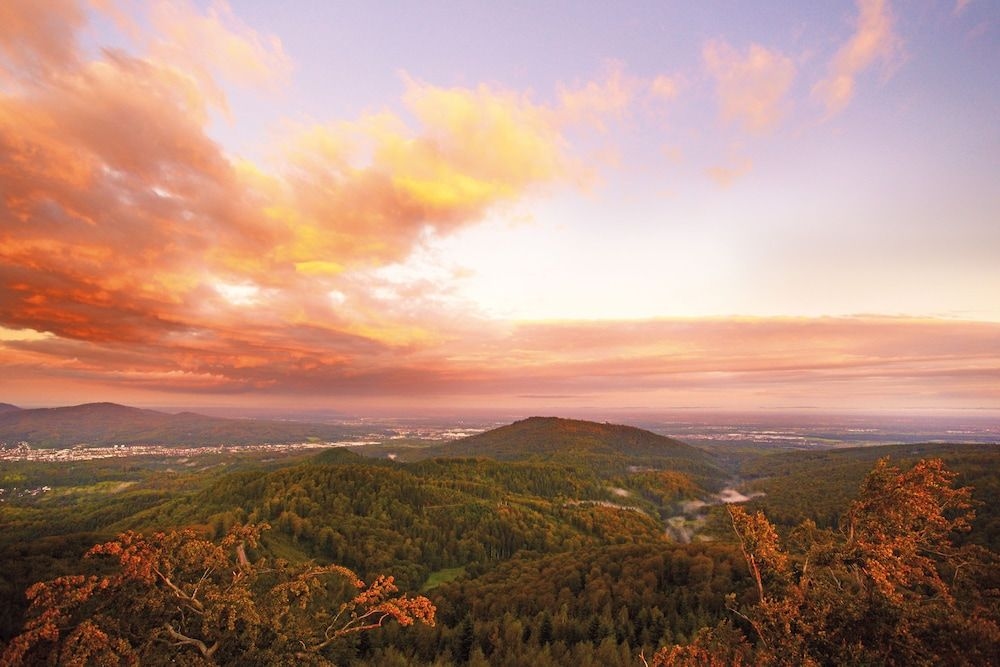 SCHWARZWALD PANORAMA2
