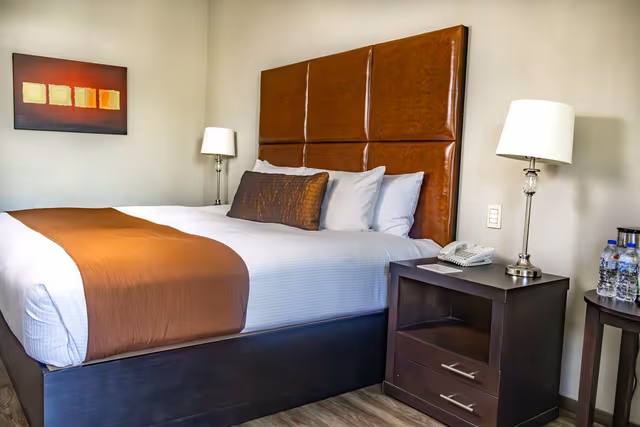 1 King Bed, Non-Smoking, Mini Bar, Microwave, Full Breakfast