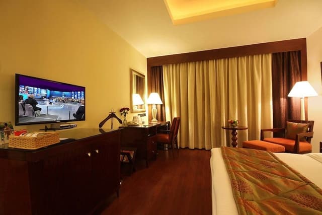 Deluxe Room, 1 Queen Bed (Deluxe Room Double)