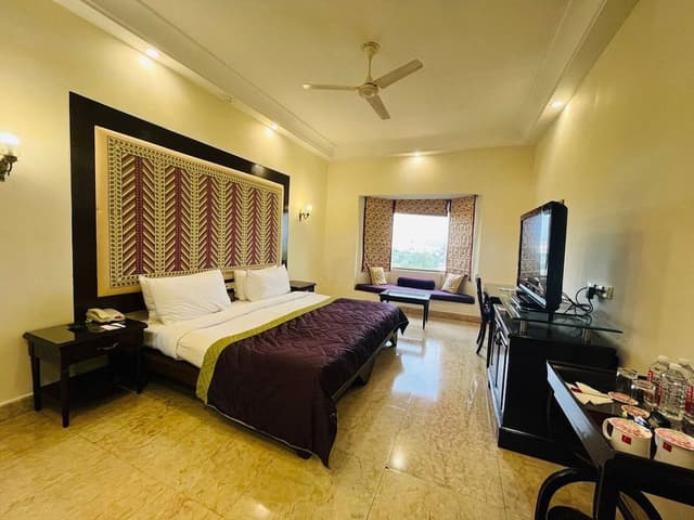 Room, 1 King Bed, Valley View