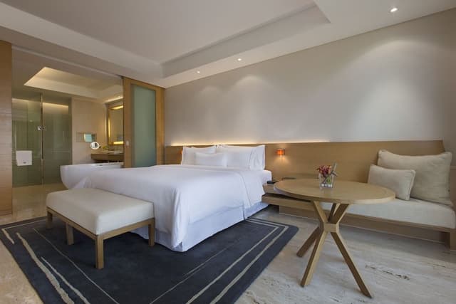 Executive Suite, 1 Bedroom