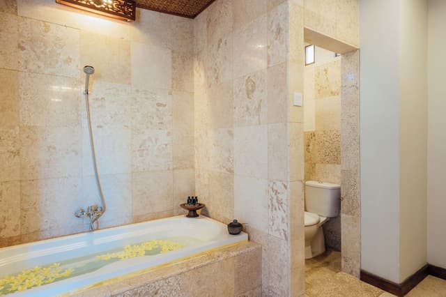 Deluxe Suite Room
