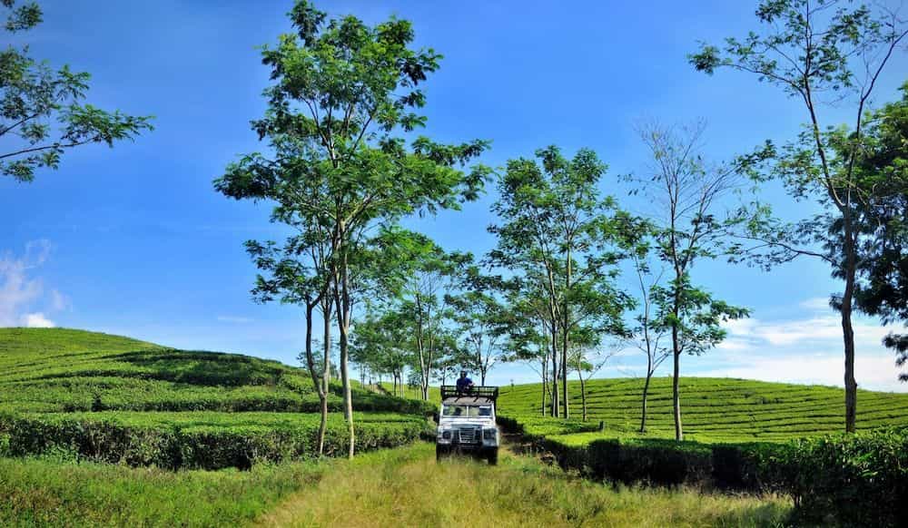 โรงแรมซารีเอเทอร์แอนด์รีสอร์ท โรงแรมซารีเอเทอร์แอนด์รีสอร์ท