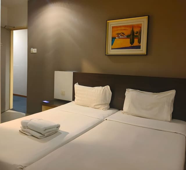 Deluxe Twin Room (Without Window)
