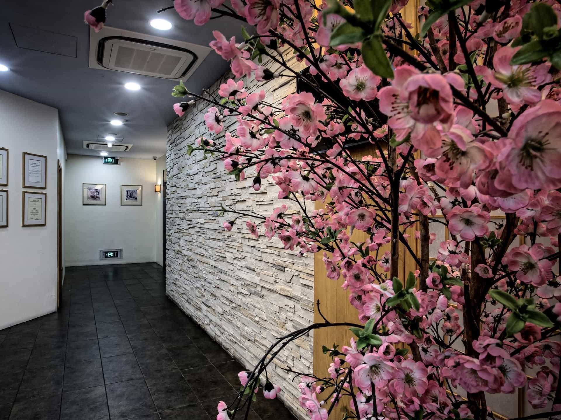 Hotel 81 Sakura Hotel 81 Sakura