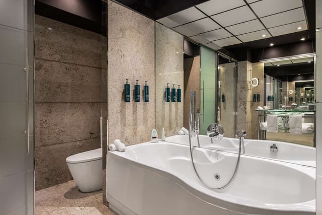 KING ONE BEDROOM SUITE