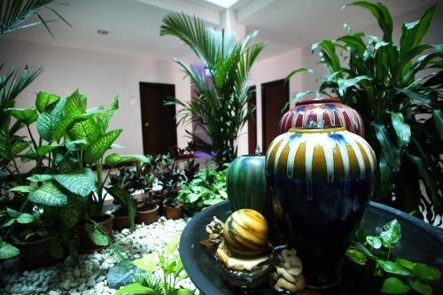 Pattara Place3
