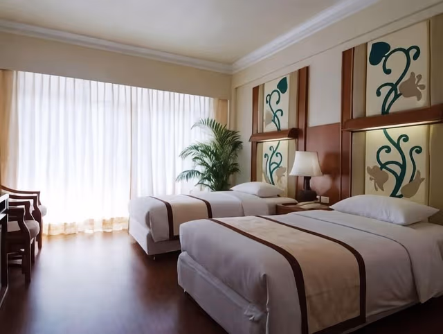 Deluxe Double or Twin Room