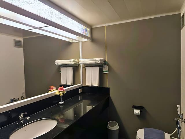Deluxe Room, Sea View (Park Wing)