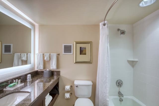 Suite, 1 Bedroom (with Living Area)