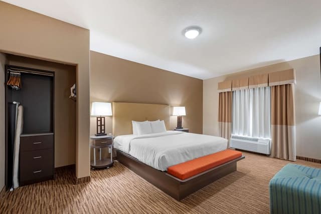 Suite, 1 King Bed, Non Smoking, Refrigerator & Microwave (Living Room;with Sofabed)