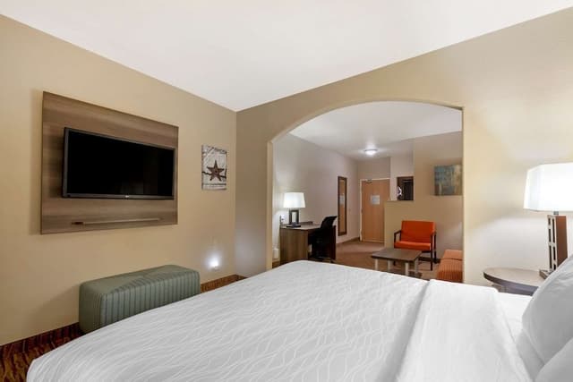 Suite, 1 King Bed, Non Smoking, Refrigerator & Microwave (with Sofabed)
