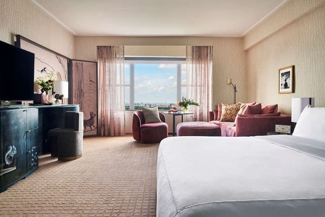Studio Suite, Park View