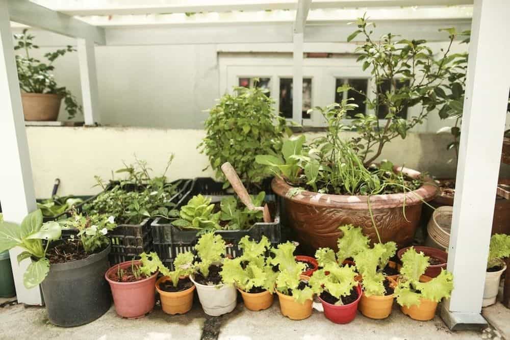 La Pensee Hotel La Pensee Hotel