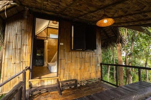 Forest Hut