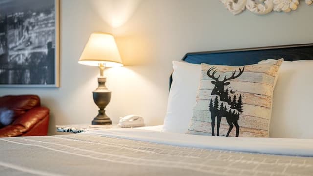 Black and White Queen Room