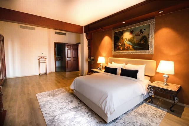 1 KING BED JUNIOR SUITE