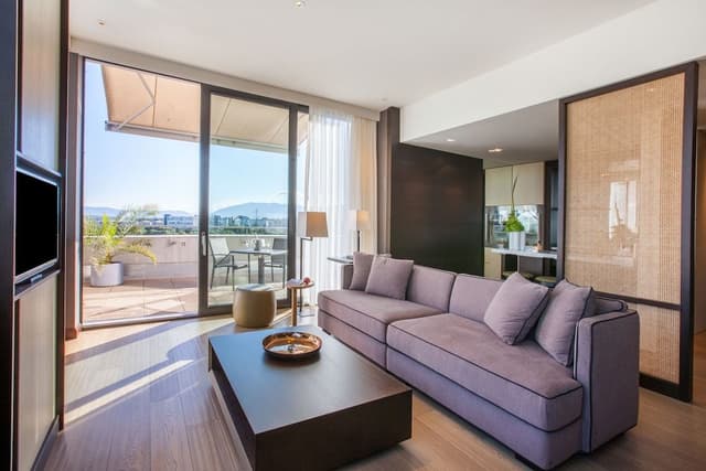 Suite, 1 Bedroom, Mountain View