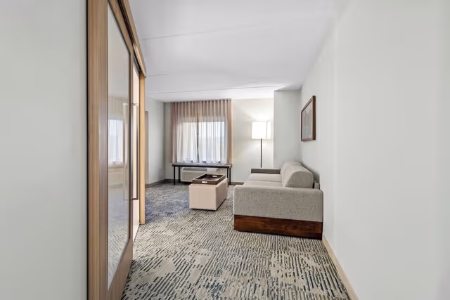 Suite, 1 King Bed with Sofa bed