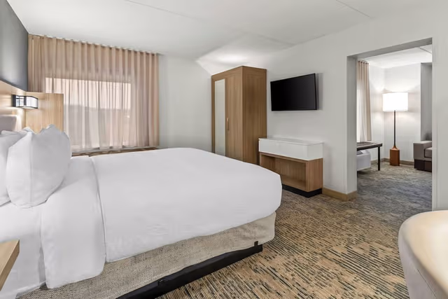 Suite, 1 King Bed with Sofa bed