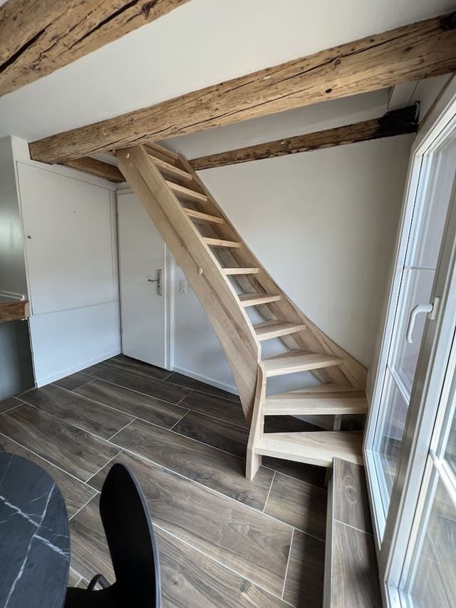 Apartment (Apartment Suite)