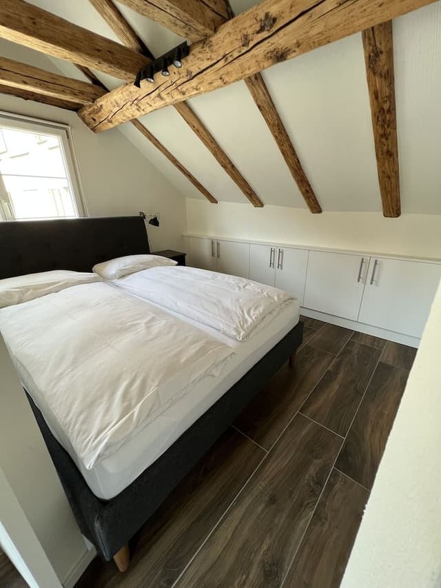 Apartment (Apartment Suite)