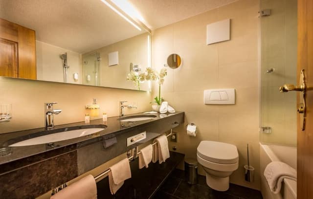 Double Room with Panoramic Matterhorn View
