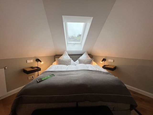 Junior Studio Suite, 1 Queen Bed, Non Smoking, Mountain View