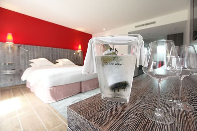 Premium Double or Twin Room, Vineyard View