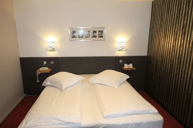 Superior Room, 1 King Bed, Non Smoking
