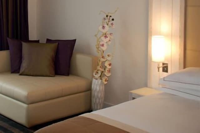 Standard Double Room, Sea View (spa access)
