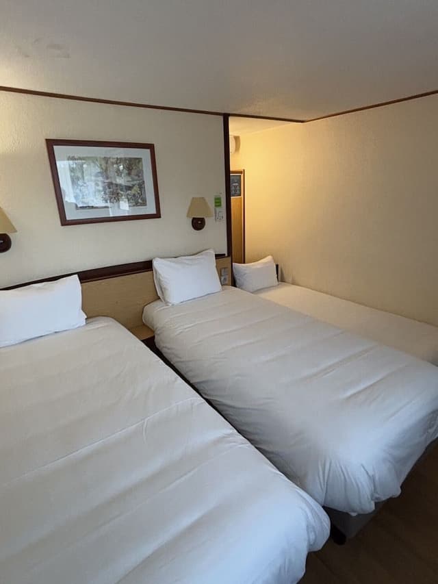 Standard Room - 2 Single Beds 1 Junior Bed up to 10 years