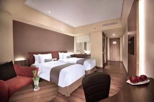 Superior Double or Twin Room