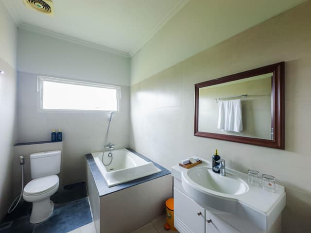 Deluxe Double Room with Bathtub
