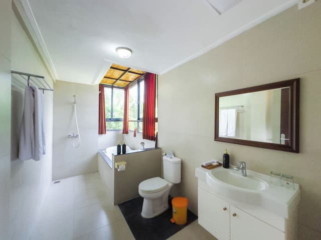 Deluxe Double Room, Bathtub