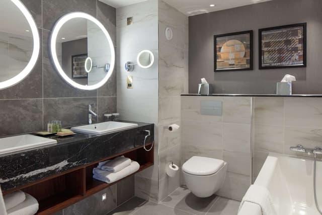 KING EXECUTIVE SUITE / TWO UNIQUE OPTIONS