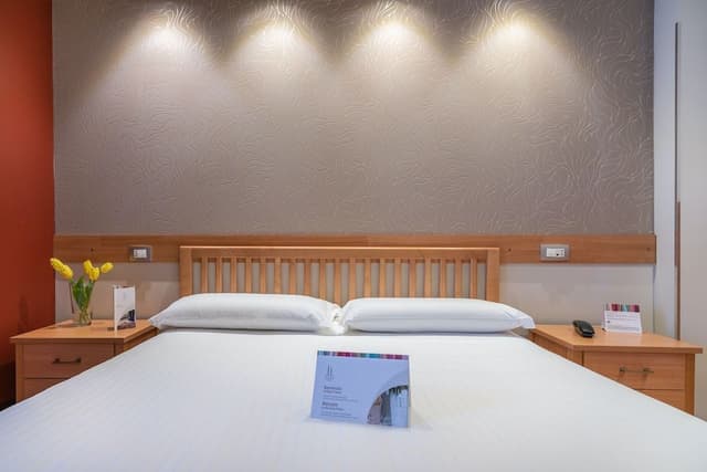 Standard Double Room, 1 King Bed