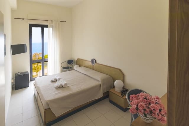 Standard Double Room Single Use, 1 Double or 2 Twin Beds, Balcony, Oceanfront