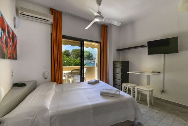 Basic Double Room