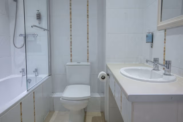 Standard Room, 1 King Bed, Non Smoking (with Extra Bed)