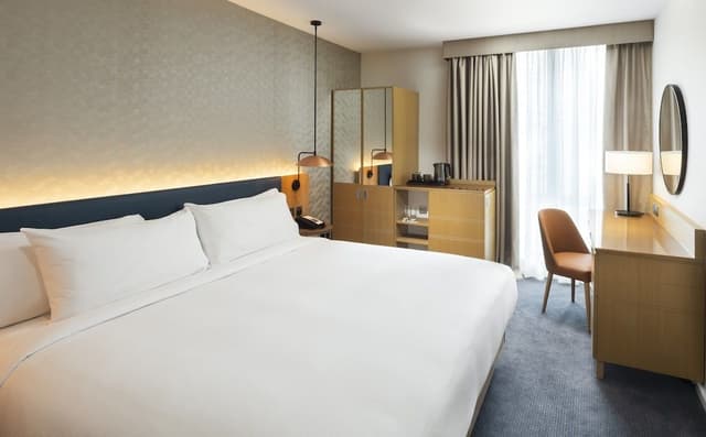 Room, 1 King Bed